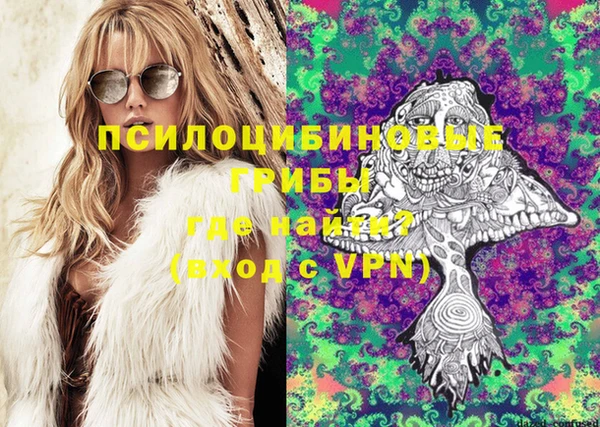 бошки Алексеевка
