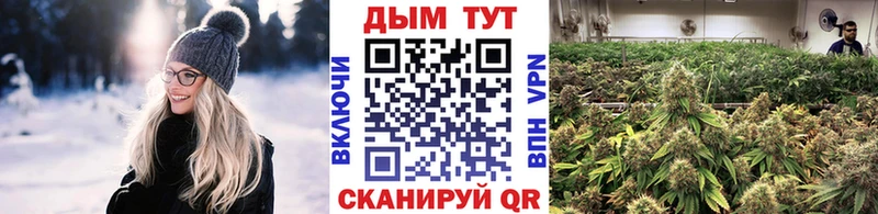 Бошки марихуана VHQ Вышний Волочёк