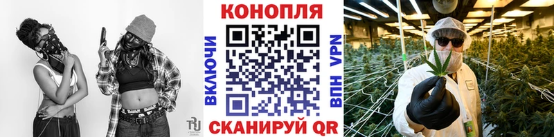 Купить где  Вышний Волочёк  Канабис план 